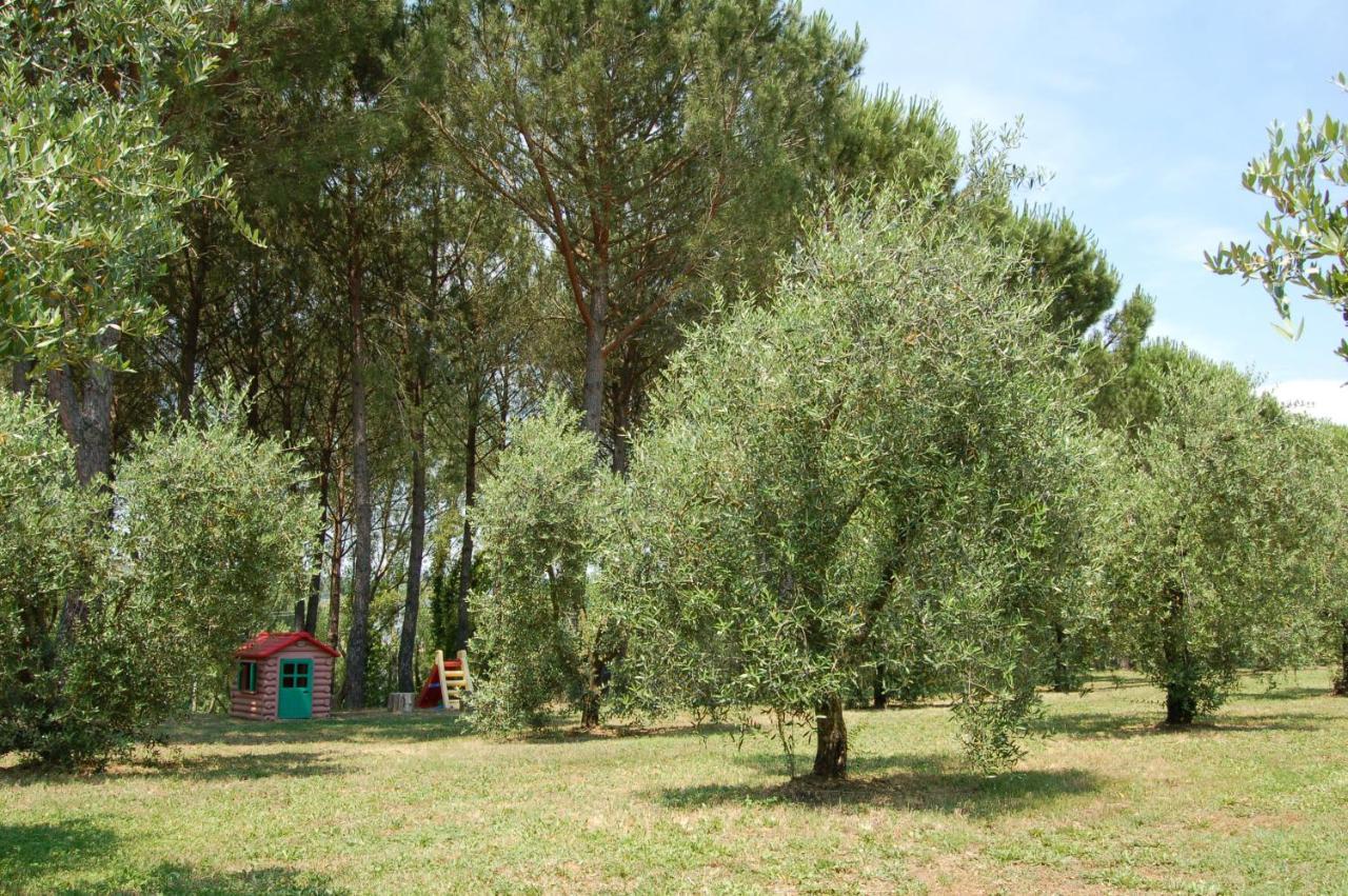 Agriturismo Il Selvino Terricciola Exterior photo