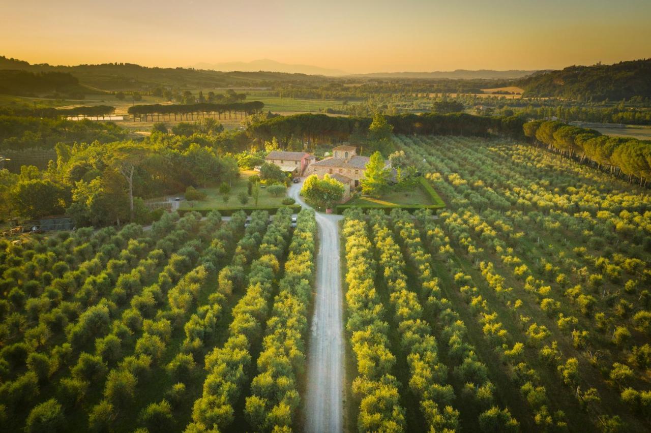 Agriturismo Il Selvino Terricciola Exterior photo